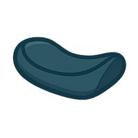 زین