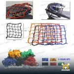 کش توری باک